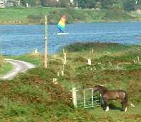 windsurfing on nearby lake